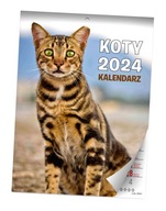 Kalendarz 2024 Koty ścienny