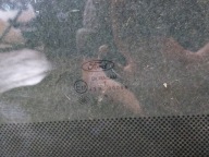 window left the centre FORD TRANSIT V LIFT