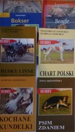 BOKSER CHART POSKI HUSKY JAMNIK BEAGLE PSY PIES HOBBY LITERATURA