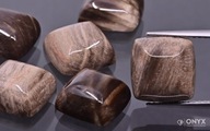 Fosílne drevo kabošon cushion 10x10 mm