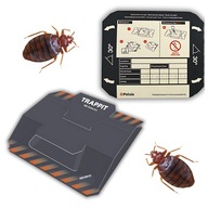 POLOSKACSAPDA HATÉKONY RAGADÓS ERŐS RAGASZTÓS CSAPDA CSALOGATÓ CSALI 1DB