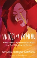 Voices of Lament - Reflections on Brokenness and