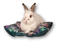 Kraina Tuptusia poduszka HOT-DOG dla królika