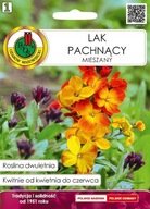 LAK JEDNOROCZNY MIESZANY 0,5g NSKP0247