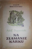 Na złamanie karku - Dygasiński