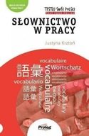Słownictwo w pracy. Testuj swój polski. Wydanie 2