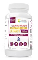 WISH ASHWAGANDHA EXTRACT 500mg 9%+L-leucín-120kaps