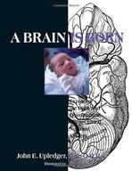 A Brain Is Born: Exploring the Birth and