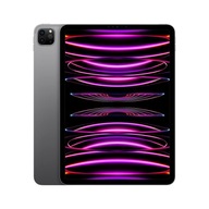 iPad Pro 11" M2 Wi-Fi 128GB szary 2022