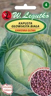 Kapusta głowiasta biała Kamienna Głowa - późna 2g /Nasiona Zaprawiane/