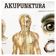 Anatomická tabuľa laminovaná AKUPUNKTÚRA