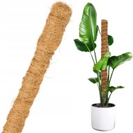 Palik Kokosowy 100 cm / 25 mm - Podpora Tyczka do Roślin Kwiatów