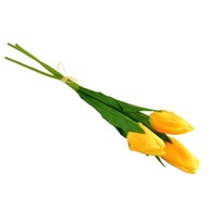 Zväzok 3 ks tulipánov žltej 50 cm
