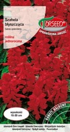 Šalvia semená lesklá červená na siatie Torseed bylinky