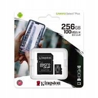 KINGSTON karta pamięci microSD 256GB 10 class