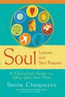 Soul Lessons And Soul Purpose: A Channelled Guide