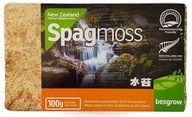 BESGROW SPAGMOSS Novozélandský mach Sphagnum 100g