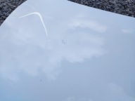 Capot TESLA MODEL 3 LIFT 2023-2026