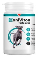 Vetoquinol Caniviton Forte Plus 90 tabletek