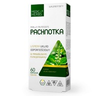 Pachnotka 500mg 60 kapsułek Medica Herbs Perilla Frutescens ekstrakt 10:1