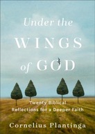 Under the Wings of God - Twenty Biblical