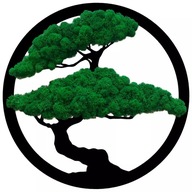 Obraz z machu strom bonsai stromček ako darček prírodný mach chrobák 40cm