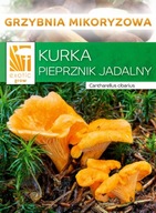 Grzybnia Pieprznik jadalny Kurka Pieprznik gąska 10g