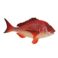 c/ Lifelike Durable Sea Life Animal Red Snapper
