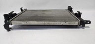 water cooler RENAULT NISSAN 21410B680B original