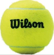 Piłka tenisowa Wilson Championship 4 szt.