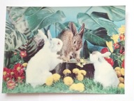 Trzy króliki - pocztówka trójwymiarowa