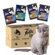 Felix Fantastic Sensations Jellies MIĘSNA RÓŻNORODNOŚĆ 44x 85g z Niemiec24h