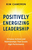 Positively Energizing Leadership: Virtuous