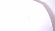 boot door rear Z window AUDI A3 8V HB LY9C S-LINE