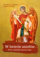 W świecie aniołów. Stróże, wysłannicy, śpiewacy Boga Andrea Franchicni, ks.