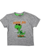 Sivé tričko pre chlapca s letným dinosaurom r86
