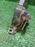 accelerator pedal GENUINE Dacia Logan and 8200386506-D