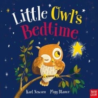 Little Owl s Bedtime Newson Karl