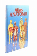 Atlas anatomii Ortega