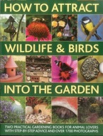 How to Attract Wildlife & Birds into the