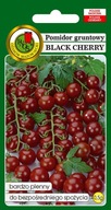 Pomidor koktajlowy BLACK CHERRY średnniowczesny gruntowy