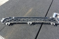 grid central of a bumper front BMW X3 F25