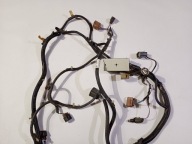 cablaggio cablaggio OSSATURA Anteriore Ford Mustang V 2005-2009