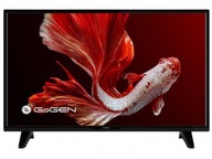 TV GOGEN 24" TVH24P452T-uszkodzone