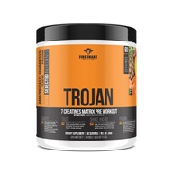 FireSnake TROJAN 300g 7 KREATIN CLOUT STACK OROTAN