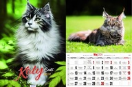 Kalendarz 2024 Ścienny Koty