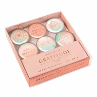 Gratitude: Glass Magnet Set (Set of 6) Insight