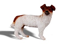 PIES JACK RUSSELL TERIER