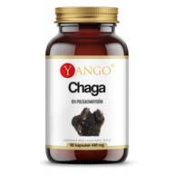 YANGO Chaga Extrakt z  Chaga 90Vkaps