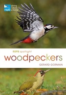 RSPB Spotlight Woodpeckers Gorman Gerard